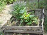 c_est_si_bio_-_jardin_partag_nanterre_27.jpg