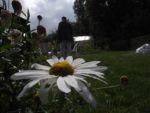 c_est_si_bio_-_jardin_partag_nanterre_7.jpg