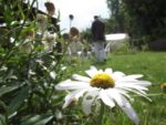c_est_si_bio_-_jardin_partag_nanterre_8.jpg