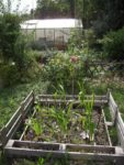 c_est_si_bio_-_jardin_partag_nanterre_9.jpg