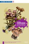 expo-champignons_-_parc_floral_19_au_22_octobre_2012.jpg