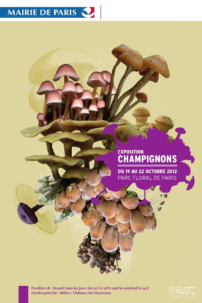 Exposition Champignons