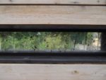 GRAINES D'ESPOIR 2