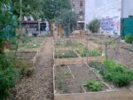 jardin_en_mai_.jpg