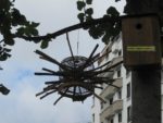 jardin_partage_le_semis_urbain_-_paris_12eme_-_photos_de_laurene_caudal_11_.jpg