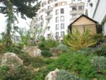 jardin_partage_le_semis_urbain_-_paris_12eme_-_photos_de_laurene_caudal_14_.jpg