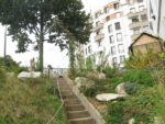 jardin_partage_le_semis_urbain_-_paris_12eme_-_photos_de_laurene_caudal_16_.jpg