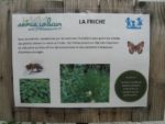 jardin_partage_le_semis_urbain_-_paris_12eme_-_photos_de_laurene_caudal_19_.jpg