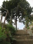 jardin_partage_le_semis_urbain_-_paris_12eme_-_photos_de_laurene_caudal_25_.jpg