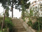 jardin_partage_le_semis_urbain_-_paris_12eme_-_photos_de_laurene_caudal_26_.jpg