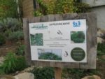jardin_partage_le_semis_urbain_-_paris_12eme_-_photos_de_laurene_caudal_27_.jpg