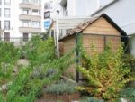 jardin_partage_le_semis_urbain_-_paris_12eme_-_photos_de_laurene_caudal_28_.jpg