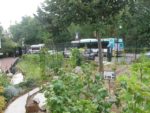 jardin_partage_le_semis_urbain_-_paris_12eme_-_photos_de_laurene_caudal_37_.jpg
