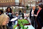 la_fete_des_chipies_-_12_mai_2012_-_photo_des_communarts_15_.jpg
