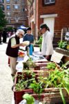 la_fete_des_chipies_-_12_mai_2012_-_photo_des_communarts_8_.jpg