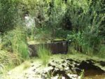 LA NATURE DES CHOSES 2