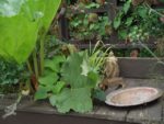 LA NATURE DES CHOSES 4