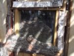 LA TRANSPARENCE DU VER 2