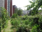 le_jardin_couleurs_et_senteurs_-_aout_2012_-_laurene_caudal_11_.jpg
