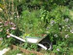 le_jardin_couleurs_et_senteurs_-_aout_2012_-_laurene_caudal_18_.jpg