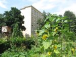 le_jardin_couleurs_et_senteurs_-_aout_2012_-_laurene_caudal_1_.jpg