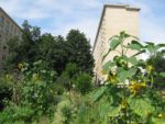 le_jardin_couleurs_et_senteurs_-_aout_2012_-_laurene_caudal_2_.jpg