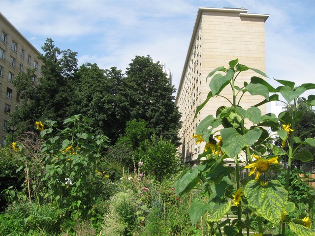 Le Jardin Couleurs et Senteurs