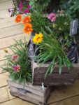 LE JARDIN DE MADAME IRMA 11