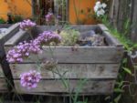 LE JARDIN DE MADAME IRMA 14