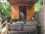 LE JARDIN DE MADAME IRMA 15