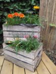 LE JARDIN DE MADAME IRMA 2
