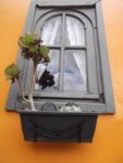 LE JARDIN DE MADAME IRMA 6