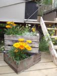 LE JARDIN DE MADAME IRMA 7