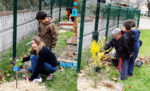 le_jardin_des_fabriques_5_.jpg