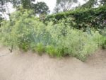 le_jardin_des_mares_2_-2.jpg