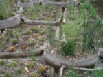 le_jardin_des_mares_3_-2.jpg