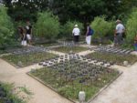 LE JARDIN DES PLANTES DISPARUES