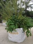 le_jardin_emporter_4_-2.jpg