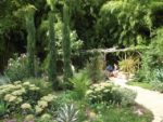 le_jardin_mditerranen_1_-2.jpg