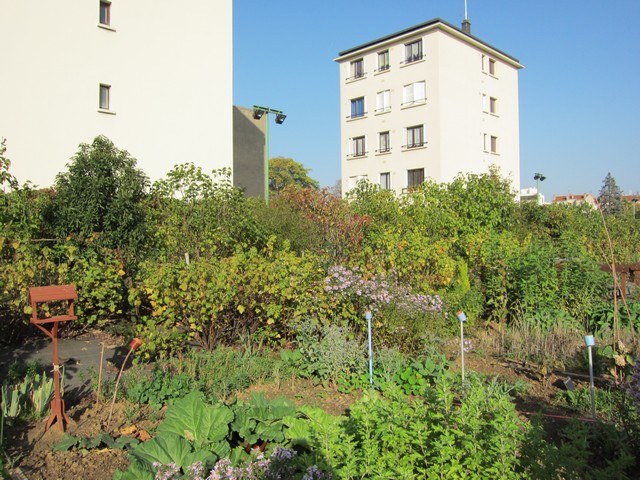 Le Potager des Lilas en images