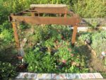 le_potager_des_lilas_-_les_lilas_-_octobre_2012_-_laurene_caudal_16_.jpg