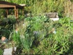 le_potager_des_lilas_-_les_lilas_-_octobre_2012_-_laurene_caudal_21_.jpg