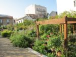 le_potager_des_lilas_-_les_lilas_-_octobre_2012_-_laurene_caudal_22_-2.jpg