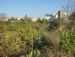 le_potager_des_lilas_-_les_lilas_-_octobre_2012_-_laurene_caudal_23_.jpg
