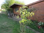 le_potager_des_lilas_-_les_lilas_-_octobre_2012_-_laurene_caudal_24_.jpg