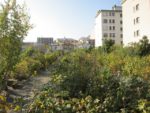 le_potager_des_lilas_-_les_lilas_-_octobre_2012_-_laurene_caudal_2_.jpg