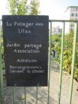 le_potager_des_lilas_-_les_lilas_-_octobre_2012_-_laurene_caudal_3_.jpg
