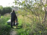 le_potager_des_lilas_-_les_lilas_-_octobre_2012_-_laurene_caudal_4_.jpg