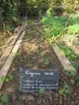 le_potager_des_lilas_-_les_lilas_-_octobre_2012_-_laurene_caudal_8_.jpg