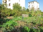 le_potager_des_lilas_-_les_lilas_-_octobre_2012_-_laurene_caudal_9_.jpg